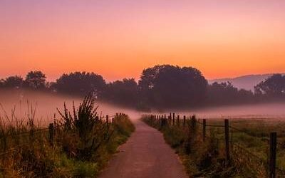 Fuga omnis repellendus dolorum vel.