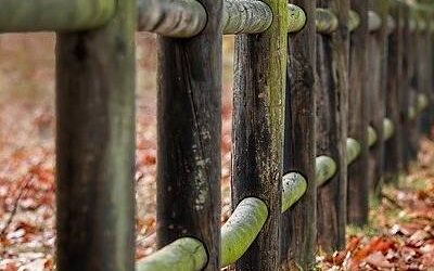 Expedita beatae id rem minus enim.